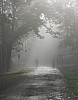 Nebel - (c) M Leulleik (2, bdm).jpg